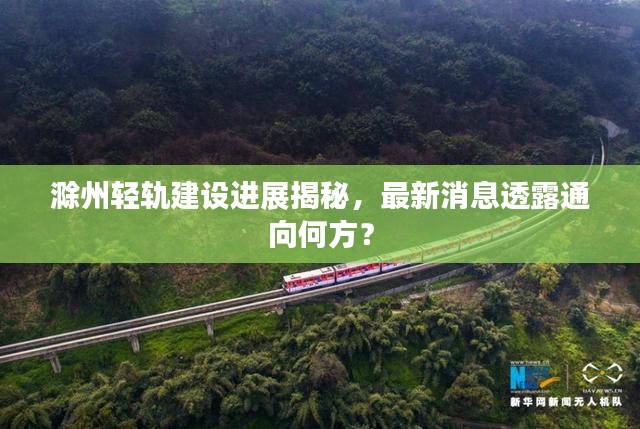 笨鸟先飞 第2页