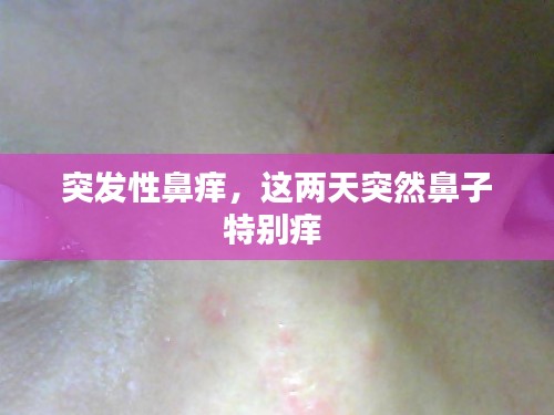 第346页