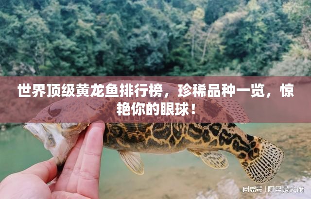 第335页