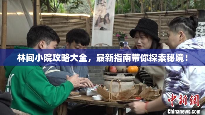 林间小院攻略大全，最新指南带你探索秘境！