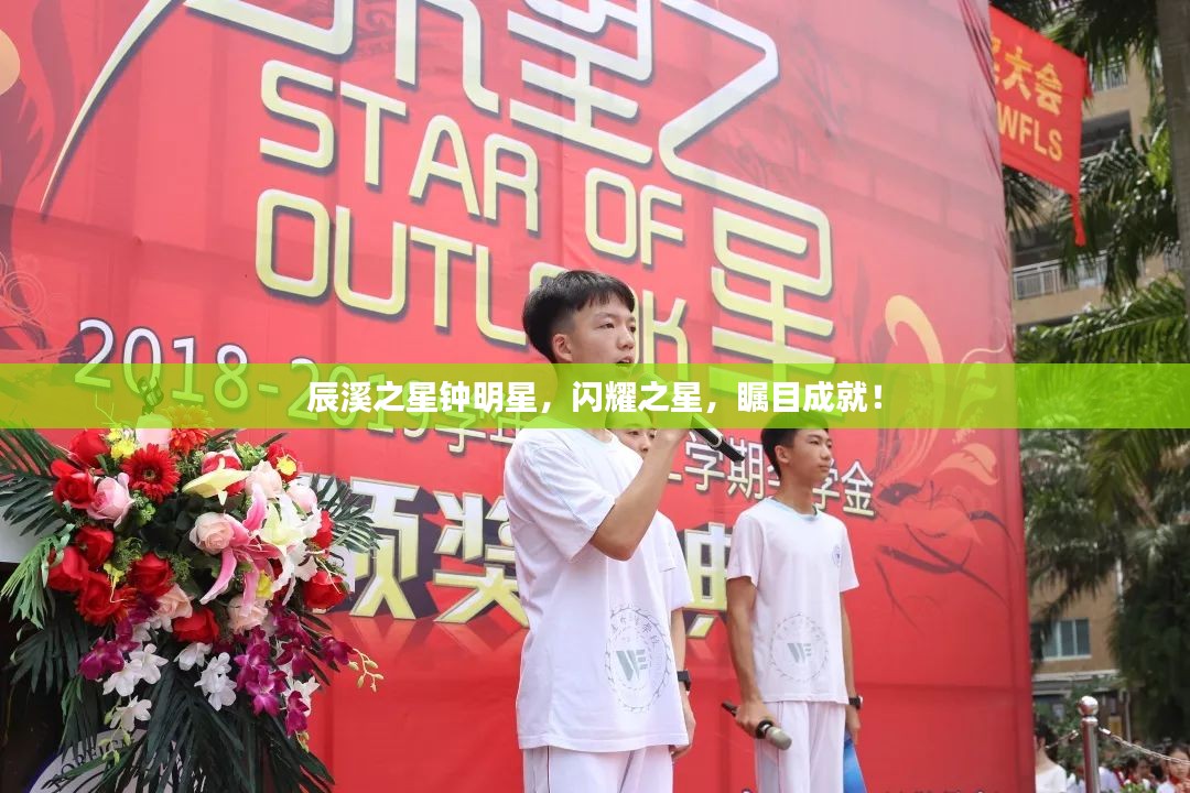 辰溪之星钟明星，闪耀之星，瞩目成就！
