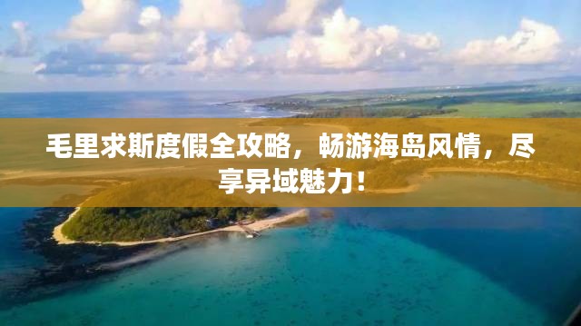 第278页
