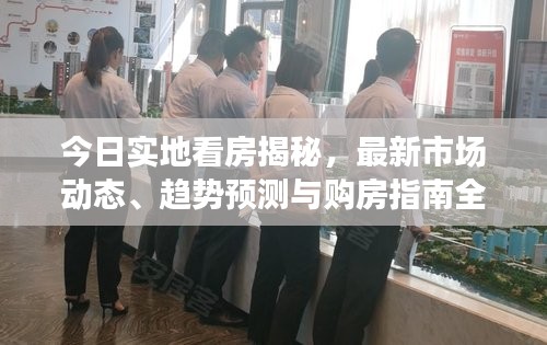 第266页