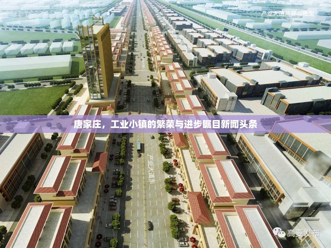 唐家庄，工业小镇的繁荣与进步瞩目新闻头条