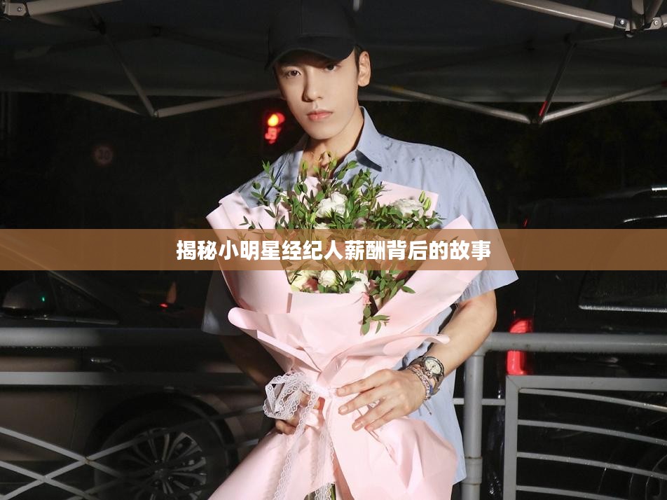 揭秘小明星经纪人薪酬背后的故事