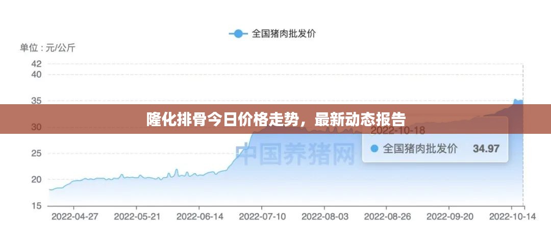 隆化排骨今日价格走势，最新动态报告