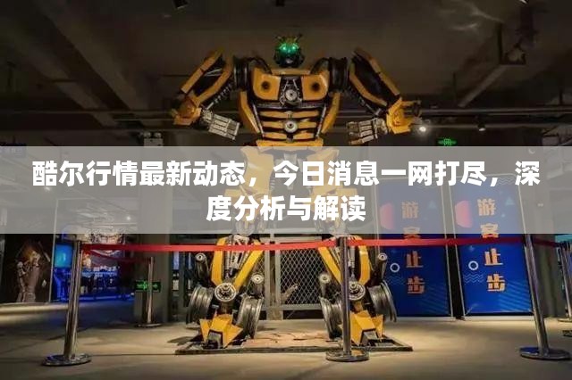 酷尔行情最新动态，今日消息一网打尽，深度分析与解读