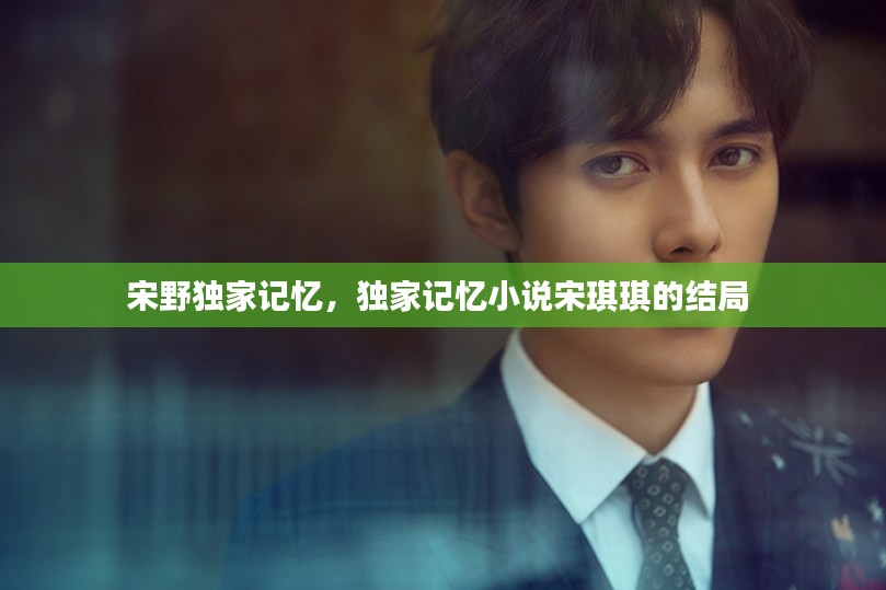 宋野独家记忆，独家记忆小说宋琪琪的结局 