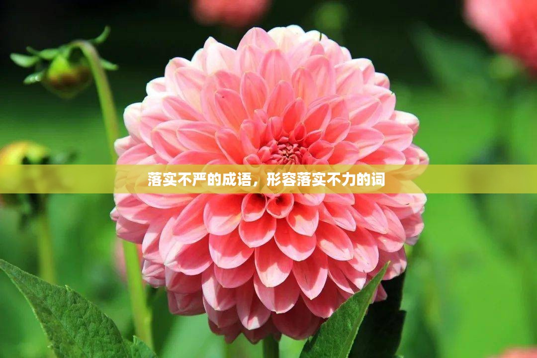 工程案例 第58页