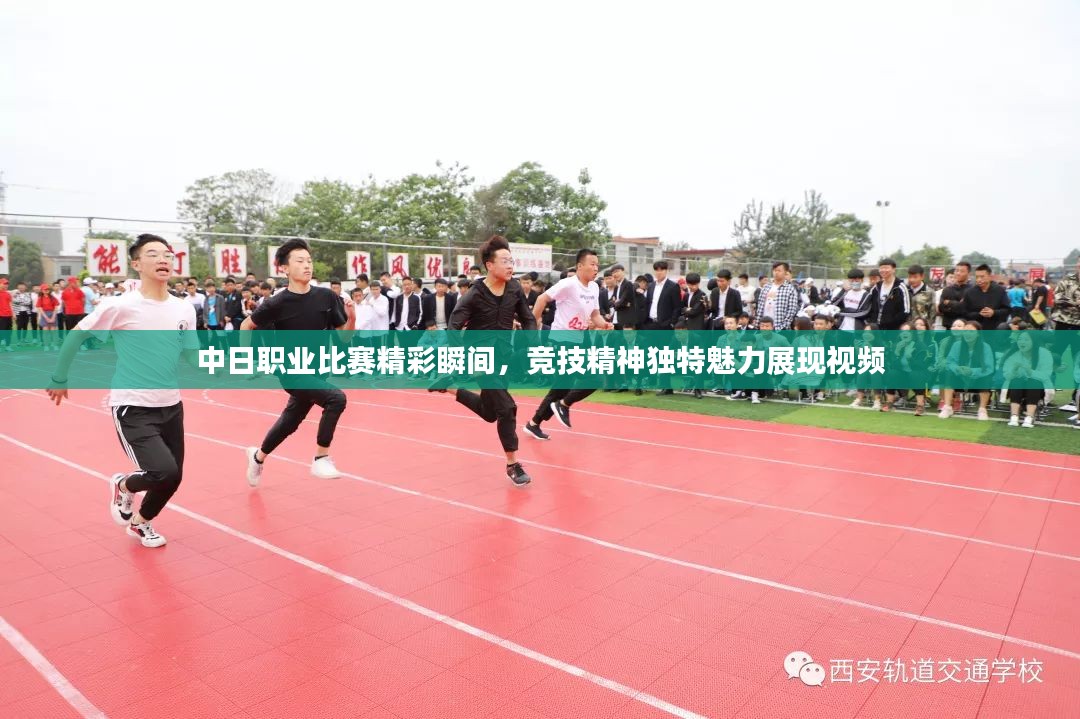 中日职业比赛精彩瞬间，竞技精神独特魅力展现视频