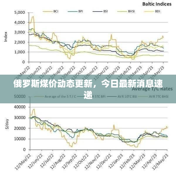 俄罗斯煤价动态更新，今日最新消息速递