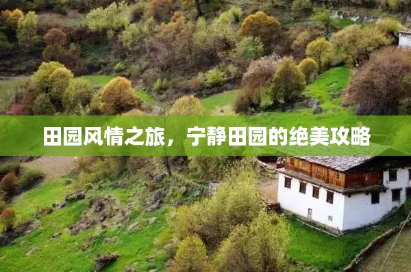田园风情之旅，宁静田园的绝美攻略