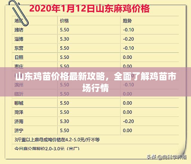 风华绝代