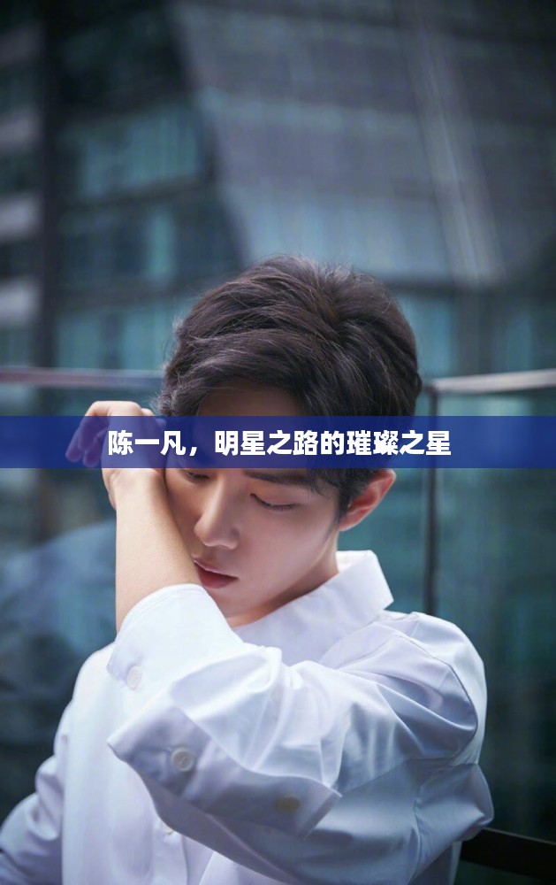 陈一凡，明星之路的璀璨之星