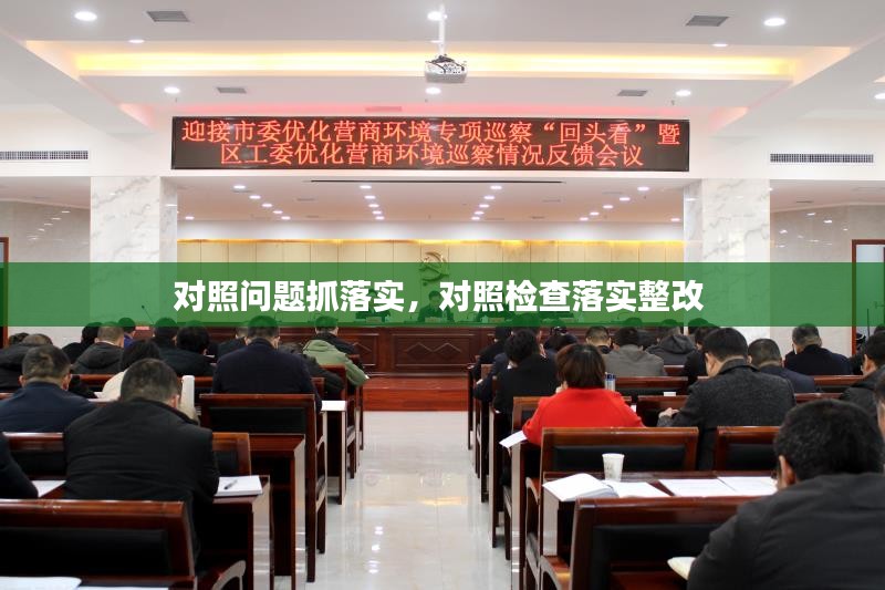 对照问题抓落实，对照检查落实整改 