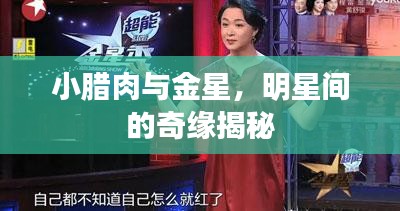 罗含梦鸟