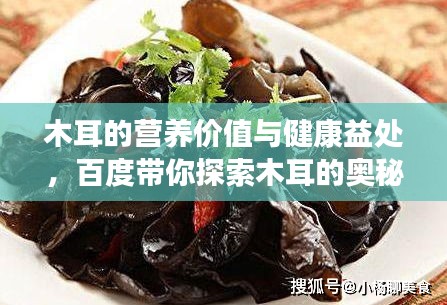 草长莺飞