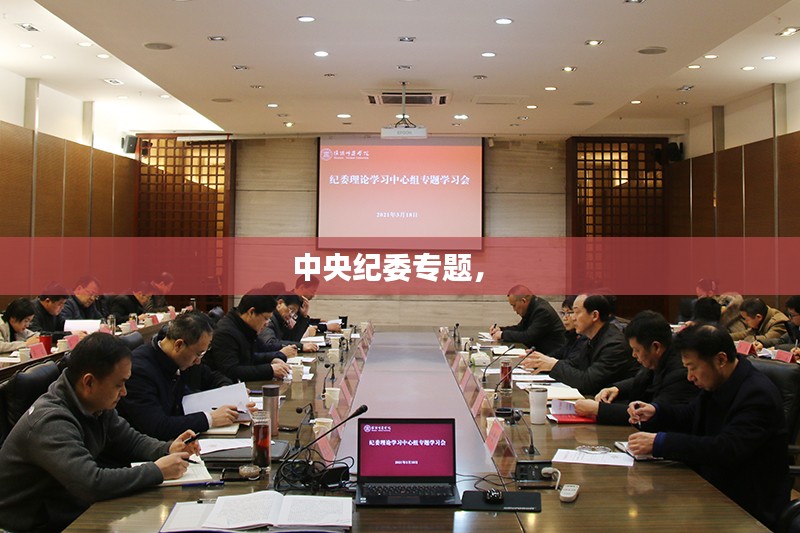 中央纪委专题， 