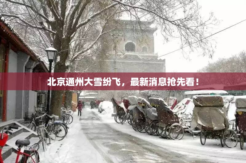 腾龙换鸟