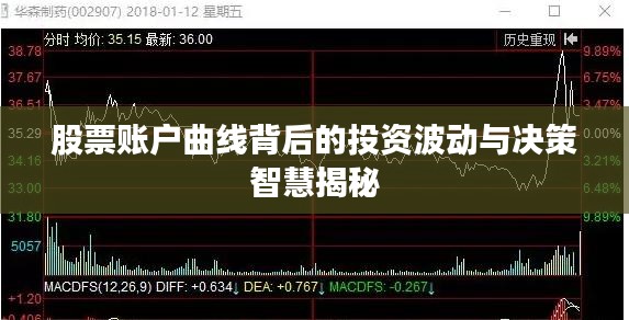 股票账户曲线背后的投资波动与决策智慧揭秘