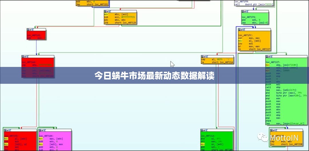 今日蜗牛市场最新动态数据解读
