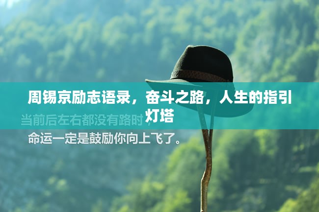 周锡京励志语录，奋斗之路，人生的指引灯塔