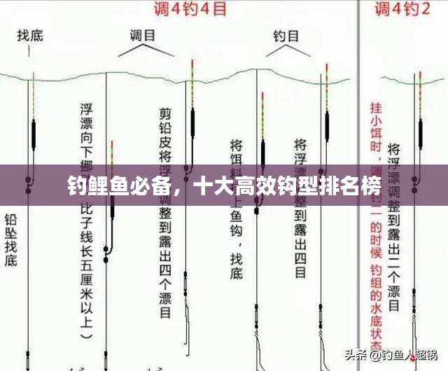 钓鲤鱼必备，十大高效钩型排名榜