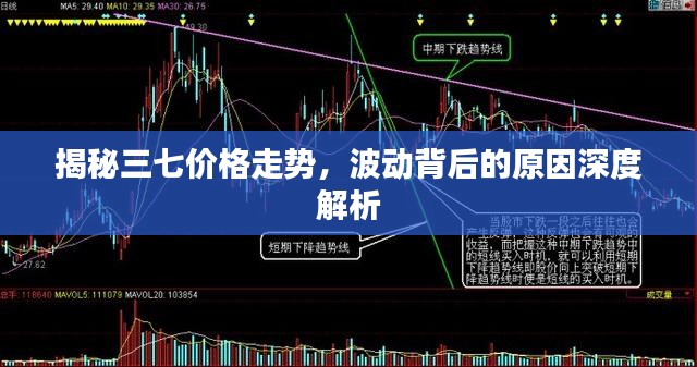 揭秘三七价格走势，波动背后的原因深度解析