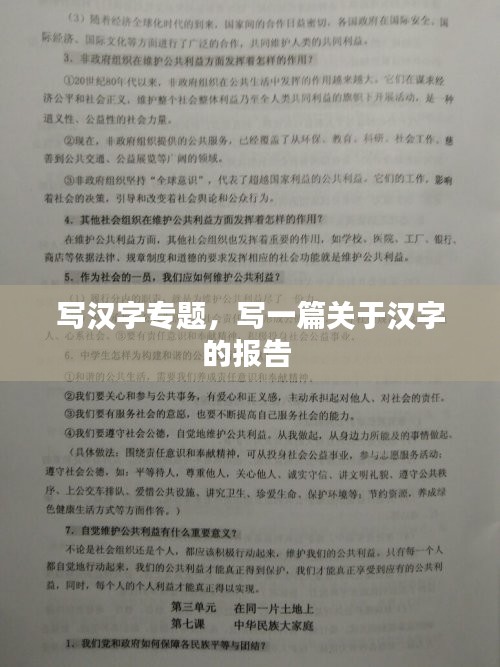 写汉字专题，写一篇关于汉字的报告 