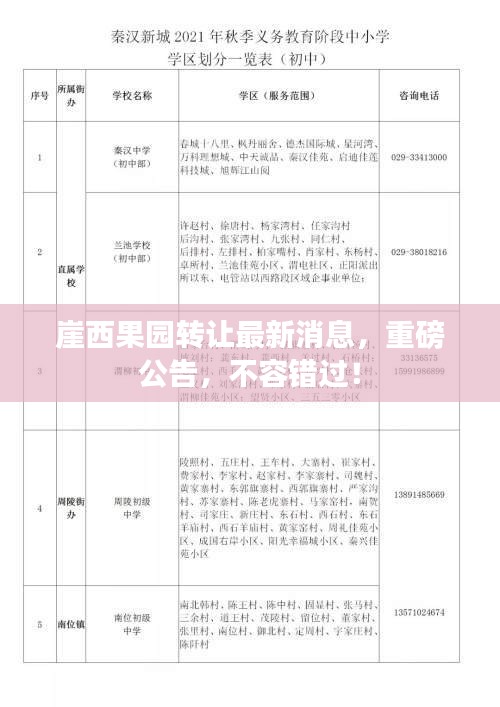 乌鸟私情