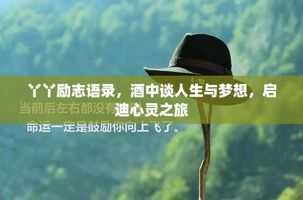 丫丫励志语录，酒中谈人生与梦想，启迪心灵之旅