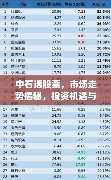 中石话股票，市场走势揭秘，投资机遇与挑战分析