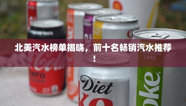 北美汽水榜单揭晓，前十名畅销汽水推荐！