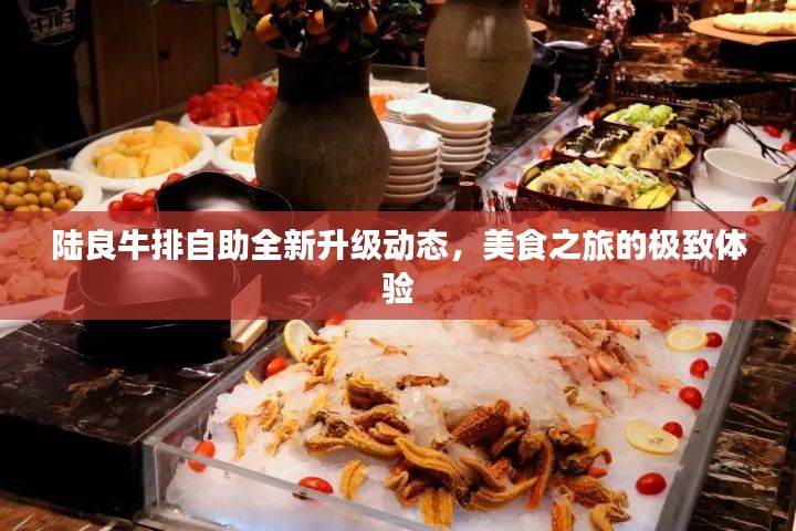 陆良牛排自助全新升级动态，美食之旅的极致体验