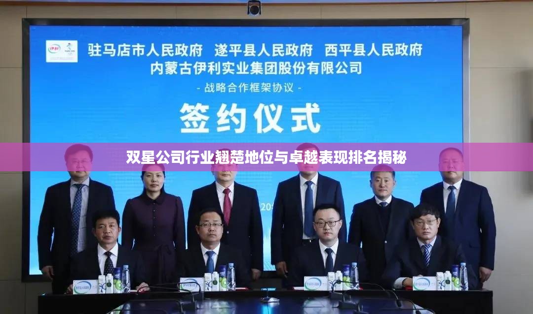 双星公司行业翘楚地位与卓越表现排名揭秘