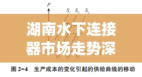 湖南水下连接器市场走势深度解析