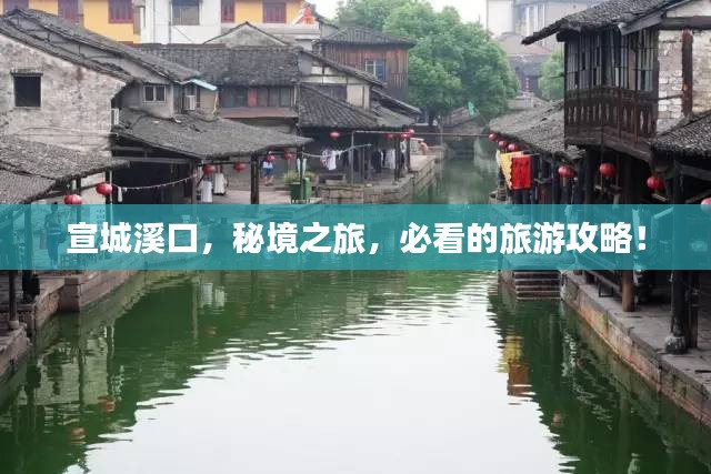 一毫不苟