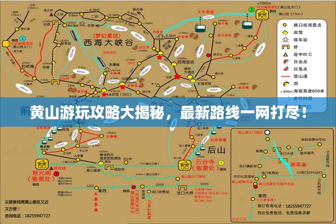 夯雀儿先飞