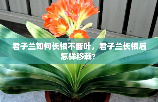 草间求活