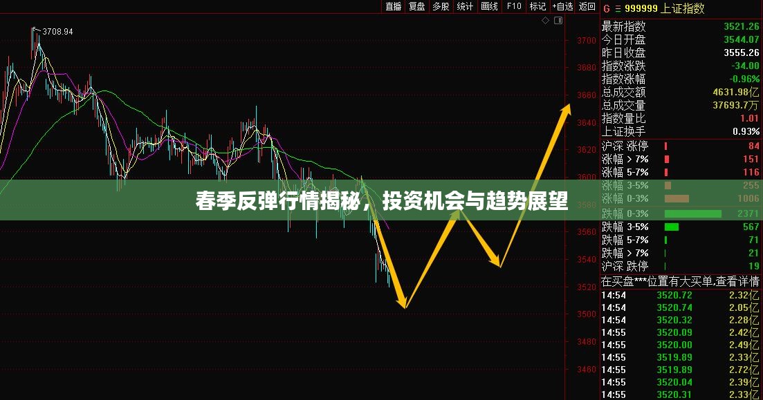 春季反弹行情揭秘，投资机会与趋势展望