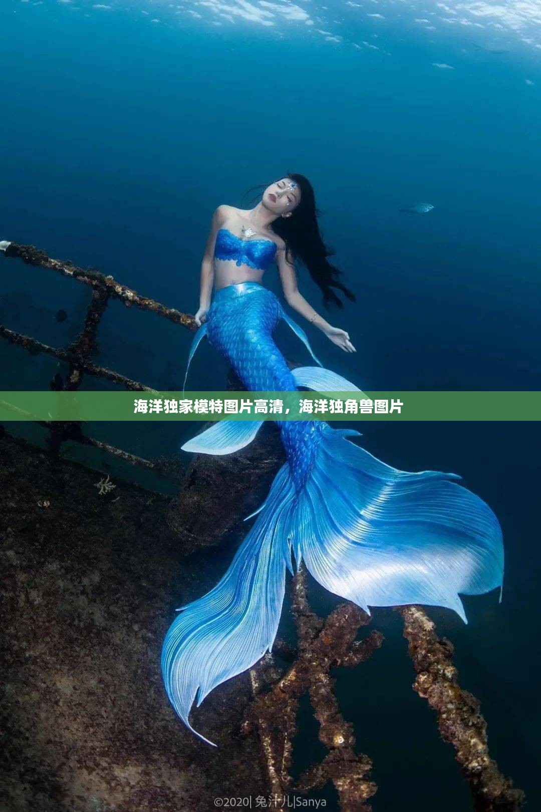 雍荣闲雅