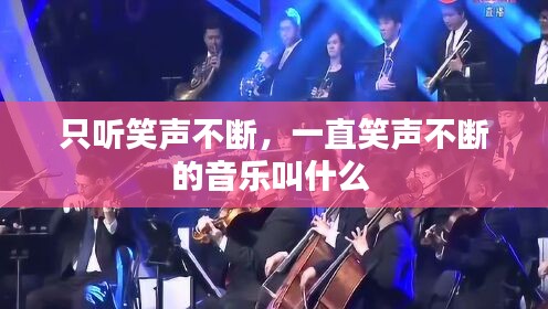 蓬荜生辉
