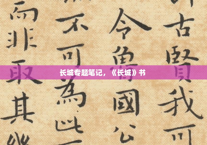 毛手毛脚