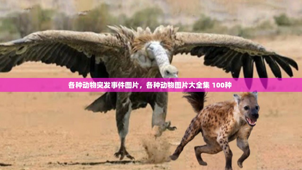 独一无二