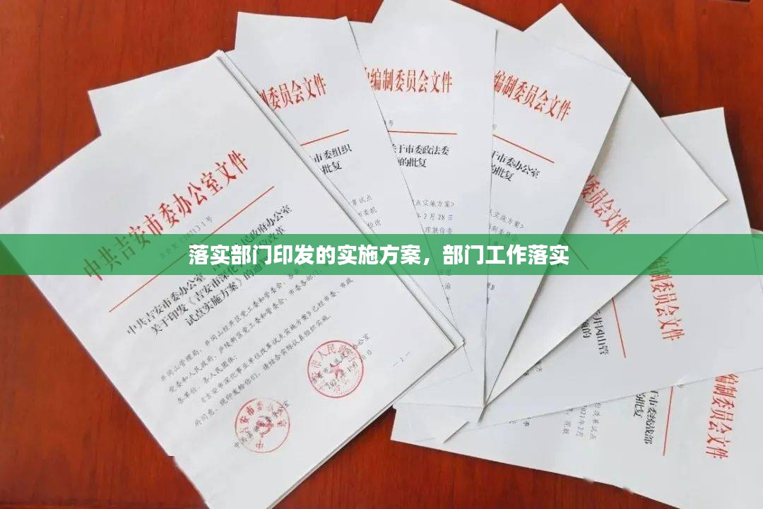 落实部门印发的实施方案，部门工作落实 