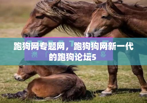 跑狗网专题网，跑狗狗网新一代的跑狗论坛5 