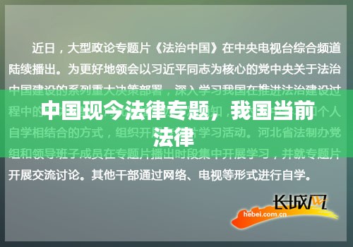 轻徙鸟举