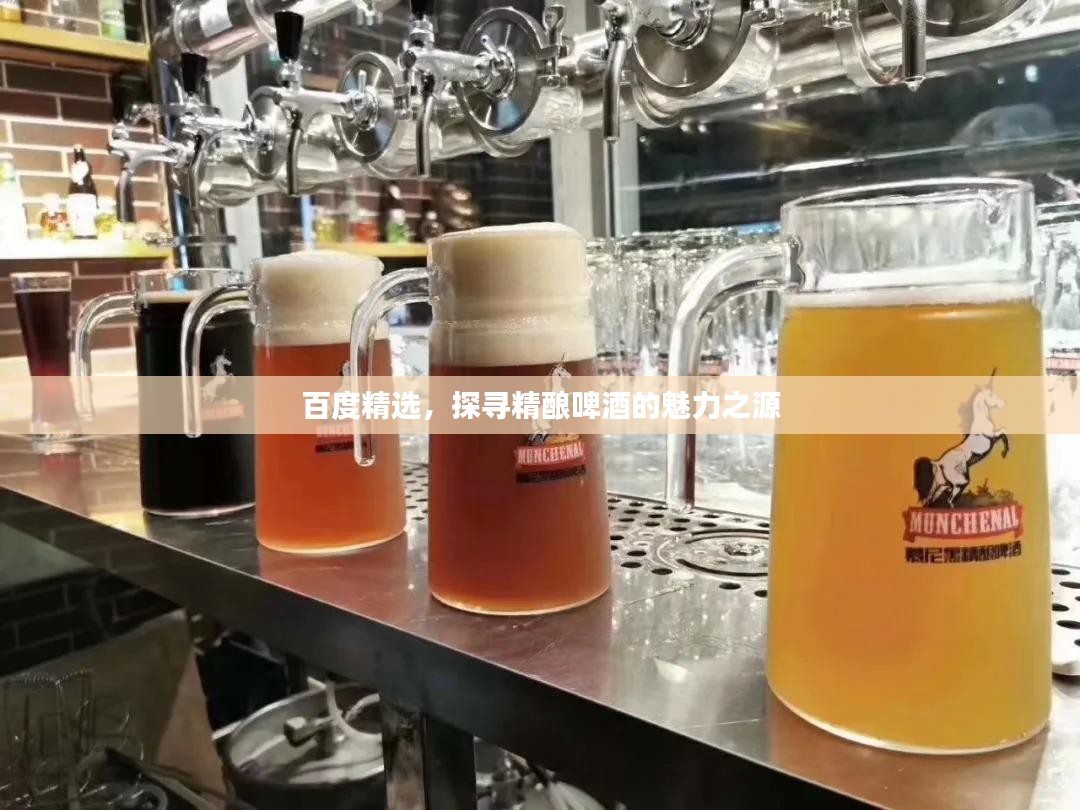 百度精选，探寻精酿啤酒的魅力之源