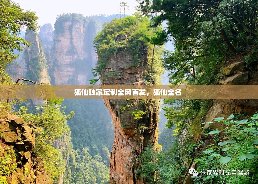 狐仙独家定制全网首发，狐仙全名 