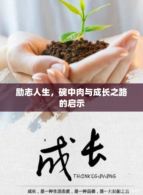 冰肌玉骨